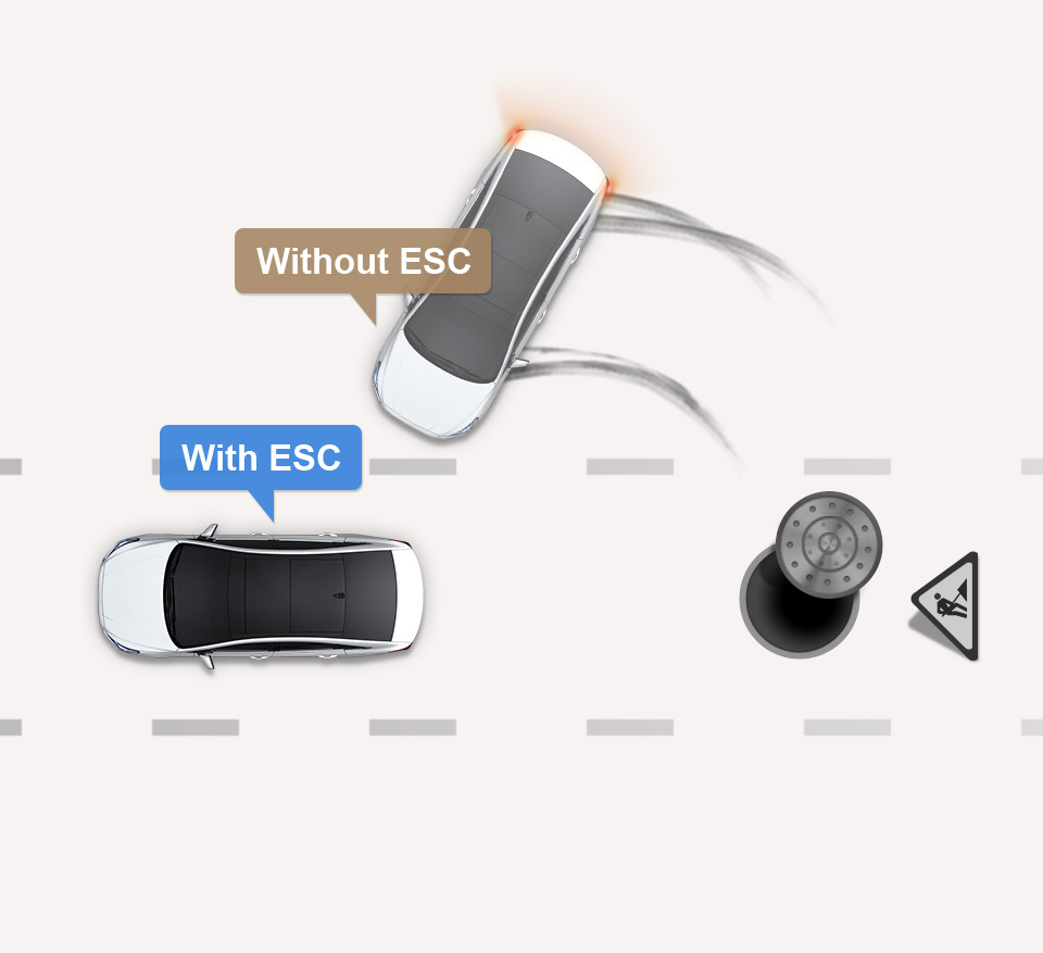 Electronic Stability Control (ESC) image